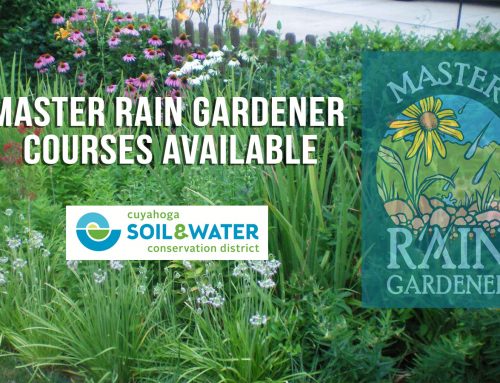 Master Rain Gardener Courses Available!