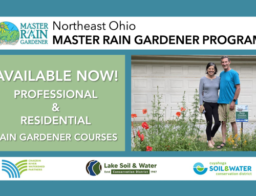 Now Available! Master Rain Gardener Courses