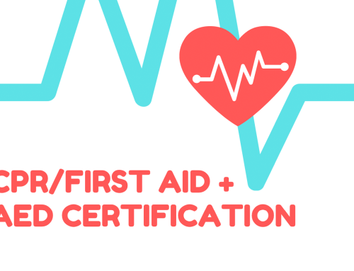 CPR / First Aid + AED Certification