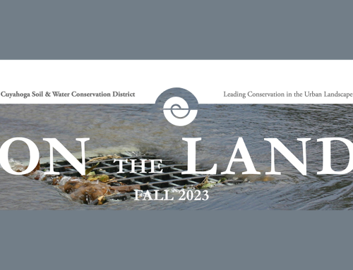 On The Land: Fall Newsletter